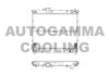 AUTOGAMMA 102341 Radiator, engine cooling